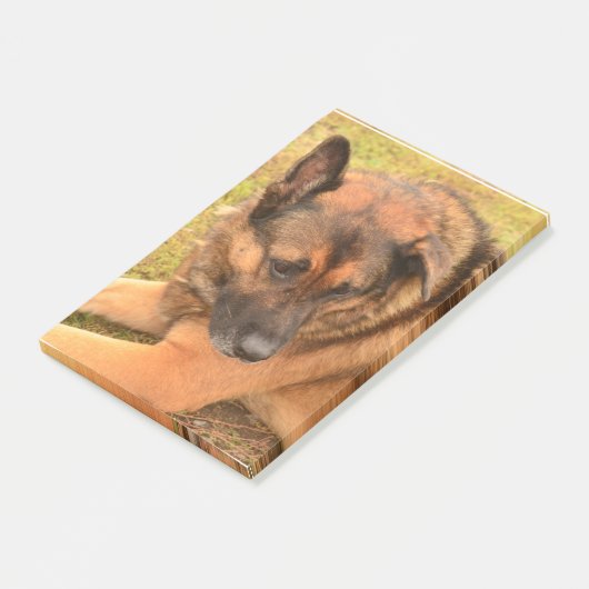 German Shepherd met One Floppy Ear Post-it® Notes (Schuin)