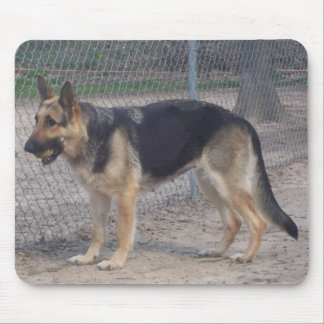 German Shepherd Mousepad Muismat
