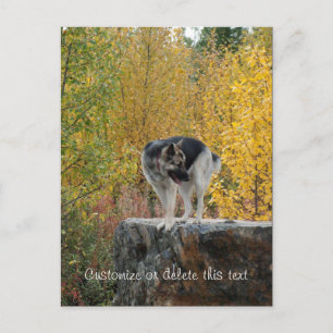 German Shepherd on a Rock Personaliseerbaar Briefkaart