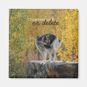 German Shepherd on a Rock Personaliseerbaar Magneet
