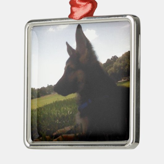 German Shepherd Ornament (Links)