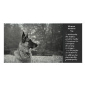 German Shepherd Perfect Poster (Voorkant)