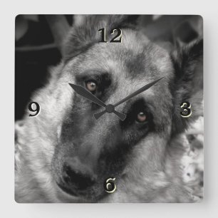 German Shepherd Photo Wall klok