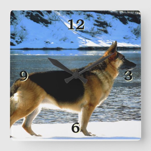 German Shepherd Photo Wall klok (Voorkant)