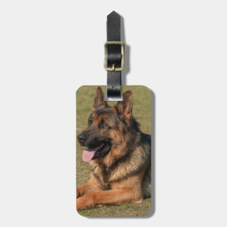 German Shepherd Plaats je eigen foto Bagagelabel