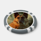 German Shepherd Poker Chips (Enkel)