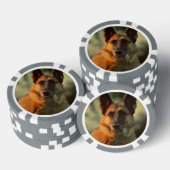 German Shepherd Poker Chips (Opstapeling)