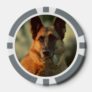 German Shepherd Poker Chips