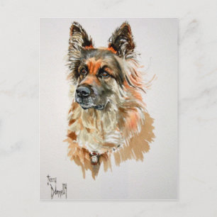 German Shepherd Post Card Briefkaart