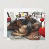 German Shepherd Post Card Briefkaart (Voorkant / Achterkant)