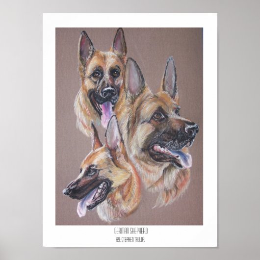 German Shepherd Poster (Voorkant)
