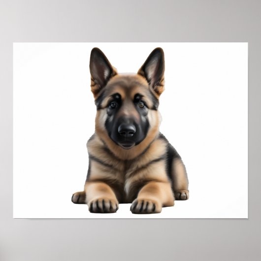 German Shepherd Poster (Voorkant)