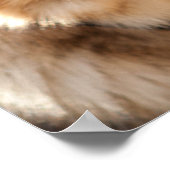 German Shepherd Poster (Hoek)