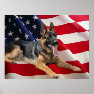German Shepherd Print
