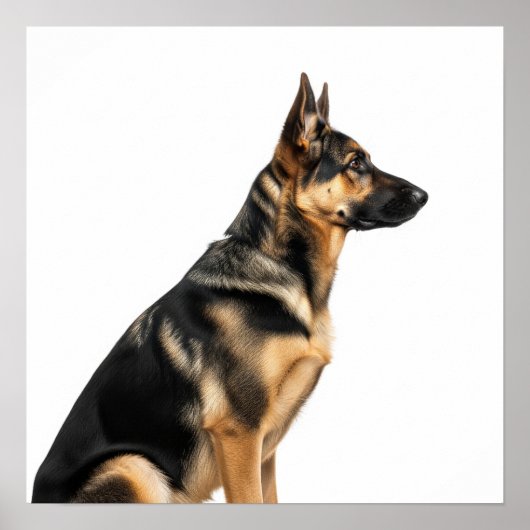 German Shepherd Profiel Poster (Voorkant)