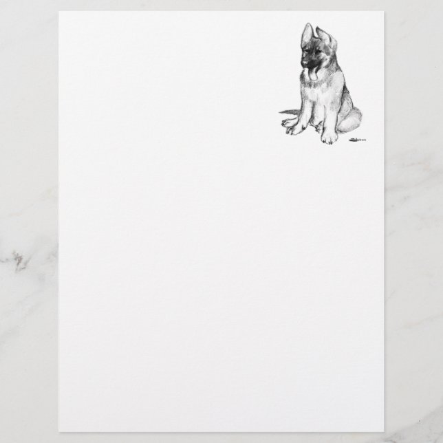 German Shepherd Puppy (Voorkant)