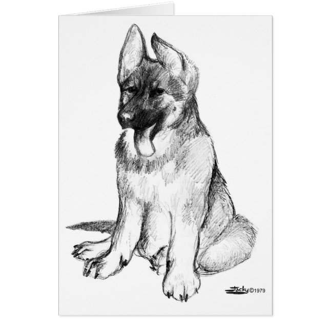 German Shepherd Puppy (Voorkant)