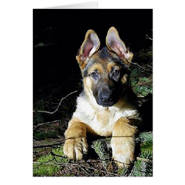 German-Shepherd Puppy (Voorkant)