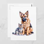 German Shepherd Puppy And Maincoon Kitten Briefkaart (Voorkant / Achterkant)