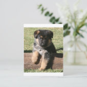German Shepherd Puppy "Big Max" Briefkaart (Staand voorkant)
