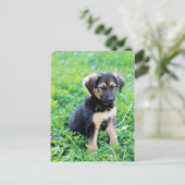 German Shepherd Puppy Briefkaart (Staand voorkant)