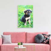 German Shepherd Puppy Canvas Afdruk (Insitu (Woonkamer))