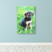 German Shepherd Puppy Canvas Afdruk (Insitu (Houten vloer))