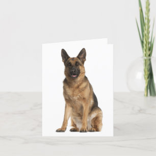 German Shepherd Puppy Dog Blank Note Card Kaart