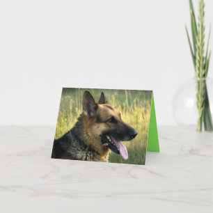 German Shepherd Puppy Dog Blank Note Card Kaart