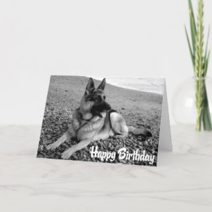 German Shepherd Puppy Dog Happy Birthday Card Kaart