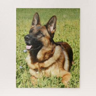 German Shepherd Puppy Dog Legpuzzel