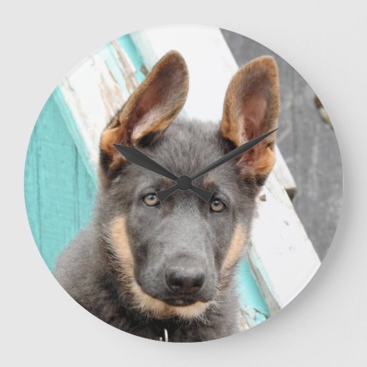 German Shepherd Puppy Grote Klok (Voorkant)