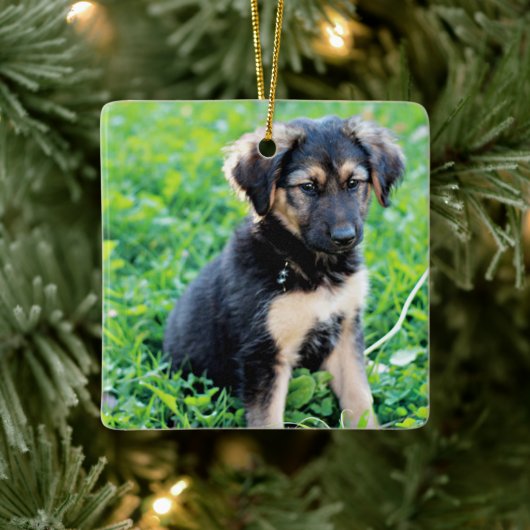 German Shepherd Puppy Keramisch Ornament (Boom)