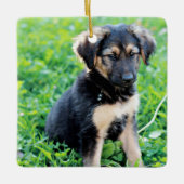 German Shepherd Puppy Keramisch Ornament (Voorkant)
