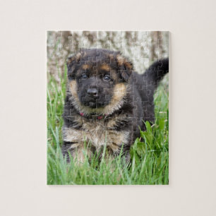 German Shepherd Puppy Legpuzzel
