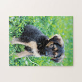 German Shepherd Puppy Legpuzzel (Horizontaal)