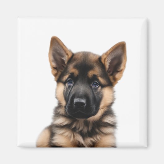 German Shepherd Puppy Magneet (Voorkant)