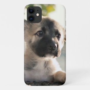 German Shepherd Puppy over Ledge iPhone 11 Hoesje