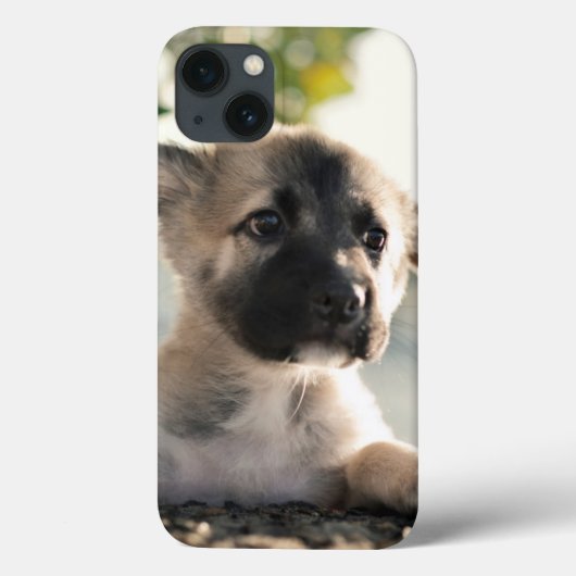 German Shepherd Puppy over Ledge Case-Mate iPhone Case (Achterkant)