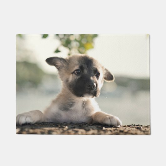 German Shepherd Puppy over Ledge Deurmat (Voorkant)