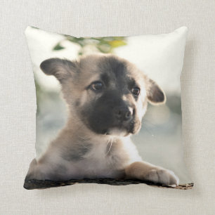 German Shepherd Puppy over Ledge Kussen