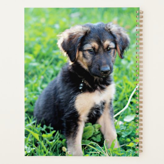 German Shepherd Puppy Planner (Achterkant)