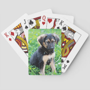German Shepherd Puppy Pokerkaarten