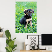 German Shepherd Puppy Poster (Thuiskantoor)