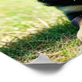 German Shepherd Puppy Poster (Hoek)