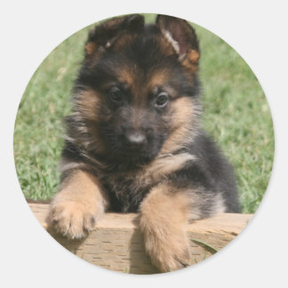 German Shepherd Puppy Ronde Sticker