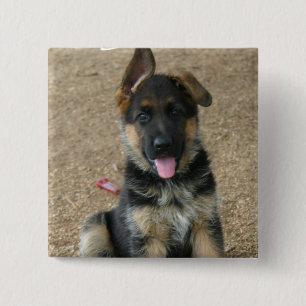 German Shepherd Puppy Square Pin Vierkante Button 5,1 Cm