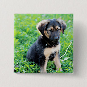 German Shepherd Puppy Vierkante Button 5,1 Cm