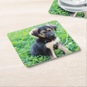 German Shepherd Puppy Vierkante Kartonnen Onderzetter (Schuin)