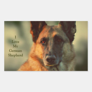 German Shepherd Rechthoekige Sticker